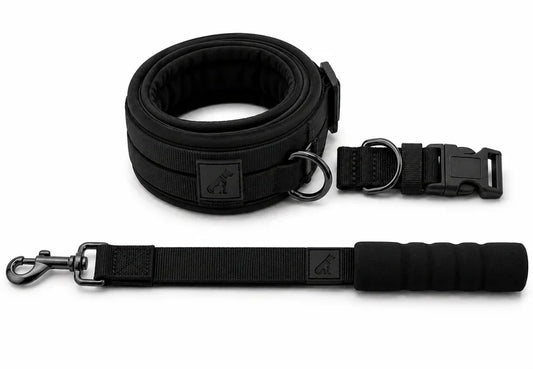 Heavy-Duty Dog Collar and Leash Set