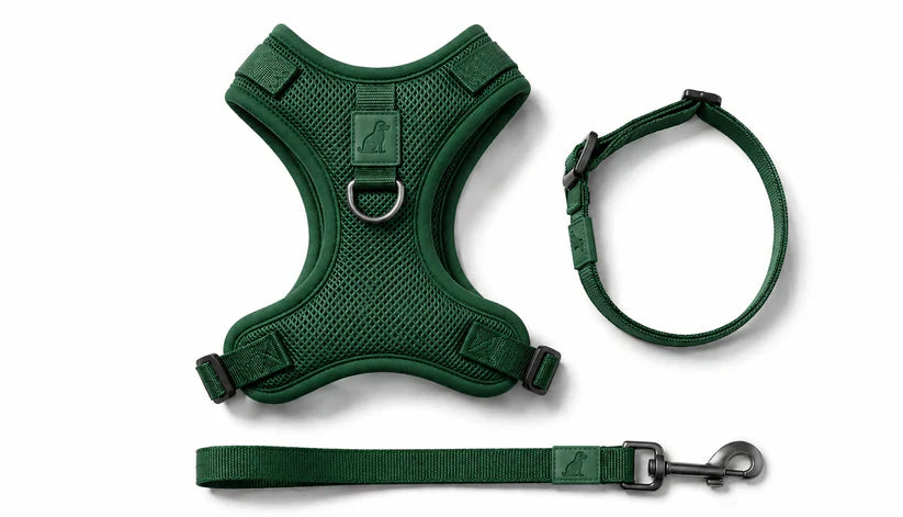 Breathable Dog Vest Harness Set