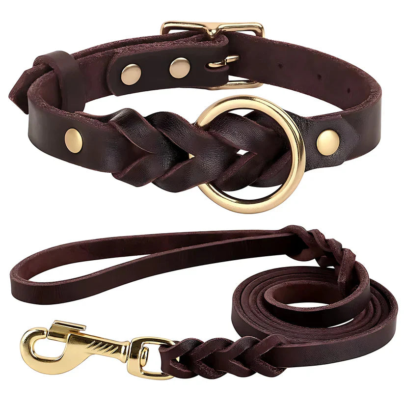 Genuine Leather Dog Collar & Lead Set