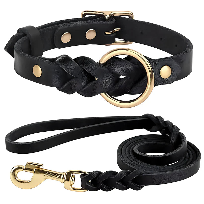 Genuine Leather Dog Collar & Lead Set