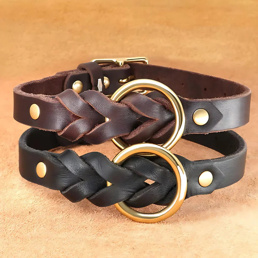 Genuine Leather Dog Collar & Lead Set