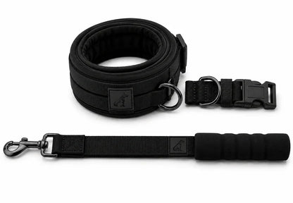 Heavy-Duty Dog Collar and Leash Set